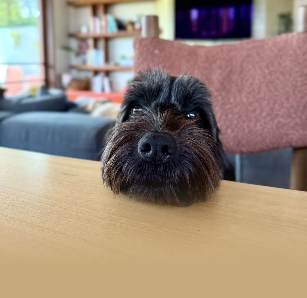 Mickey resting her chin on the table